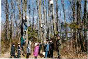 Улюблена весняна справа масівецьких школярів - створення пташиних містечок. Урочище Бабин Яр, 2010 рік.