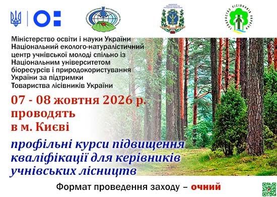 Lis-Kurs_26